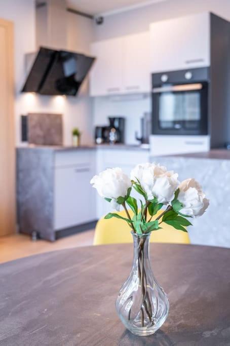 Beautiful In Vienna's Heart 1d Appartement